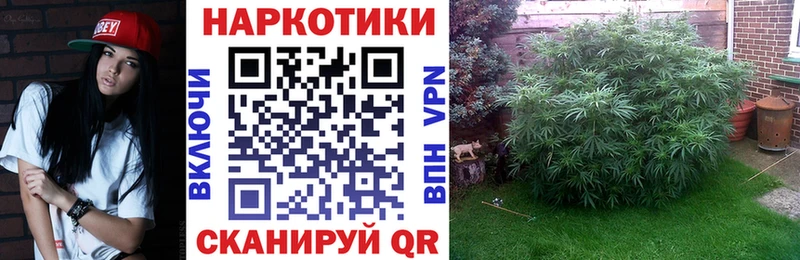 Как найти закладки Арсеньев A-PVP Каннабис КОКАИН МЕФ ГАШ