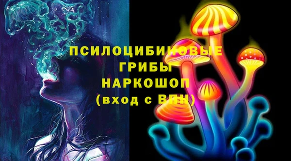 МДПВ Алексин