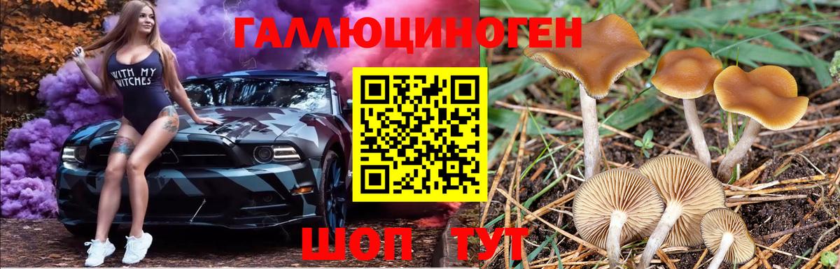 Галлюциногенные грибы Psilocybe  Вход с VPN  Псилоцибиновые грибы Psilocybe  Арсеньев 
