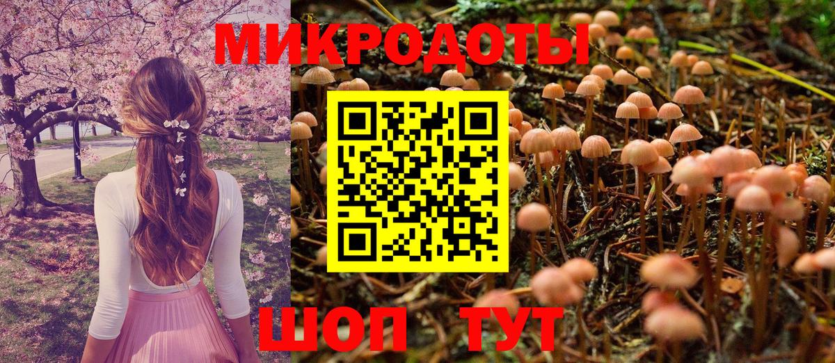 Галлюциногенные грибы GOLDEN TEACHER Арсеньев