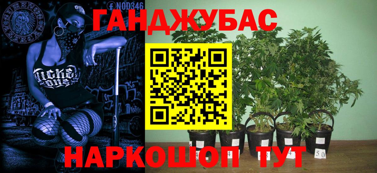 Канабис план Арсеньев